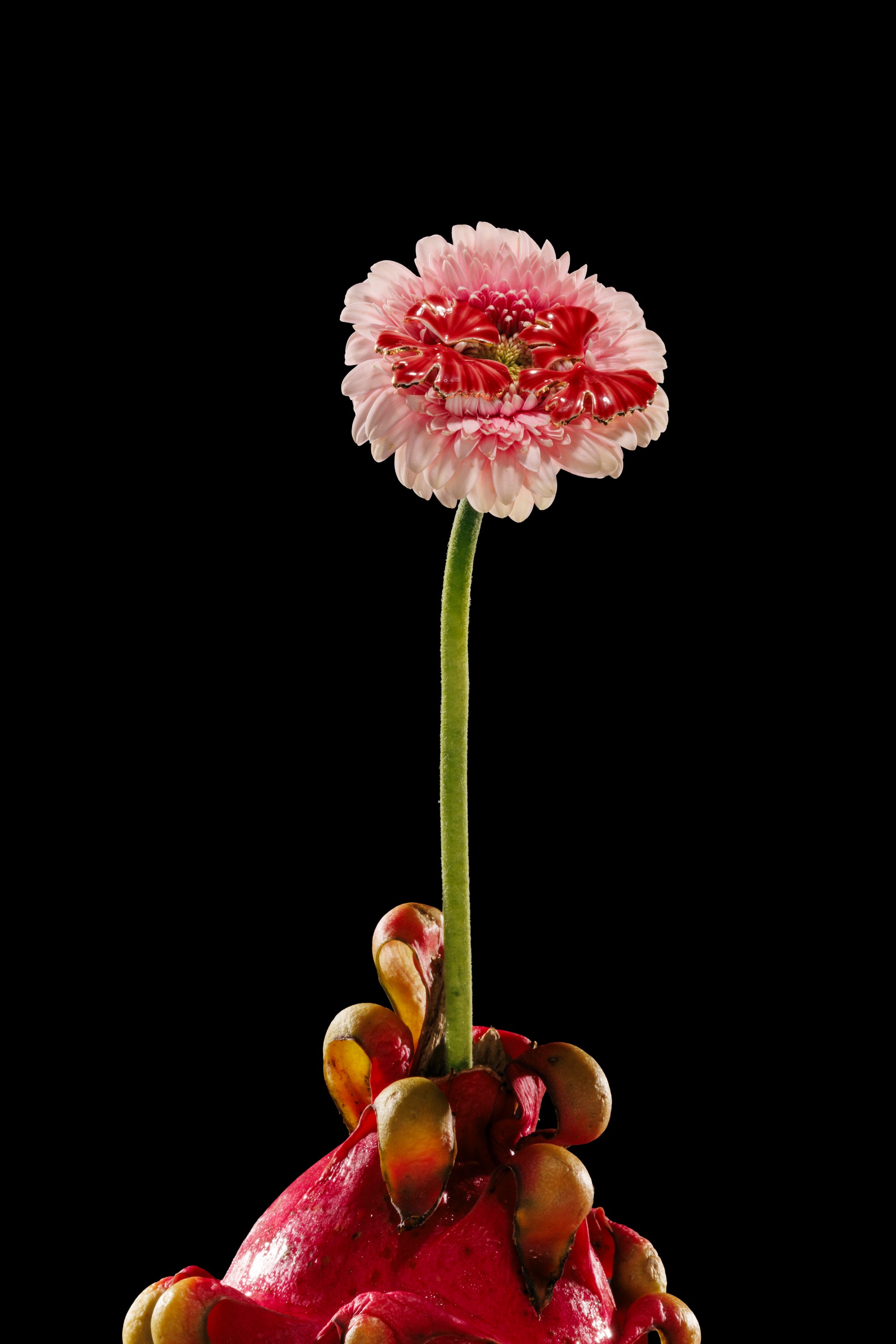 Red stud earrings with gold-sprayed sterling silver hardware, perfect for gifting.