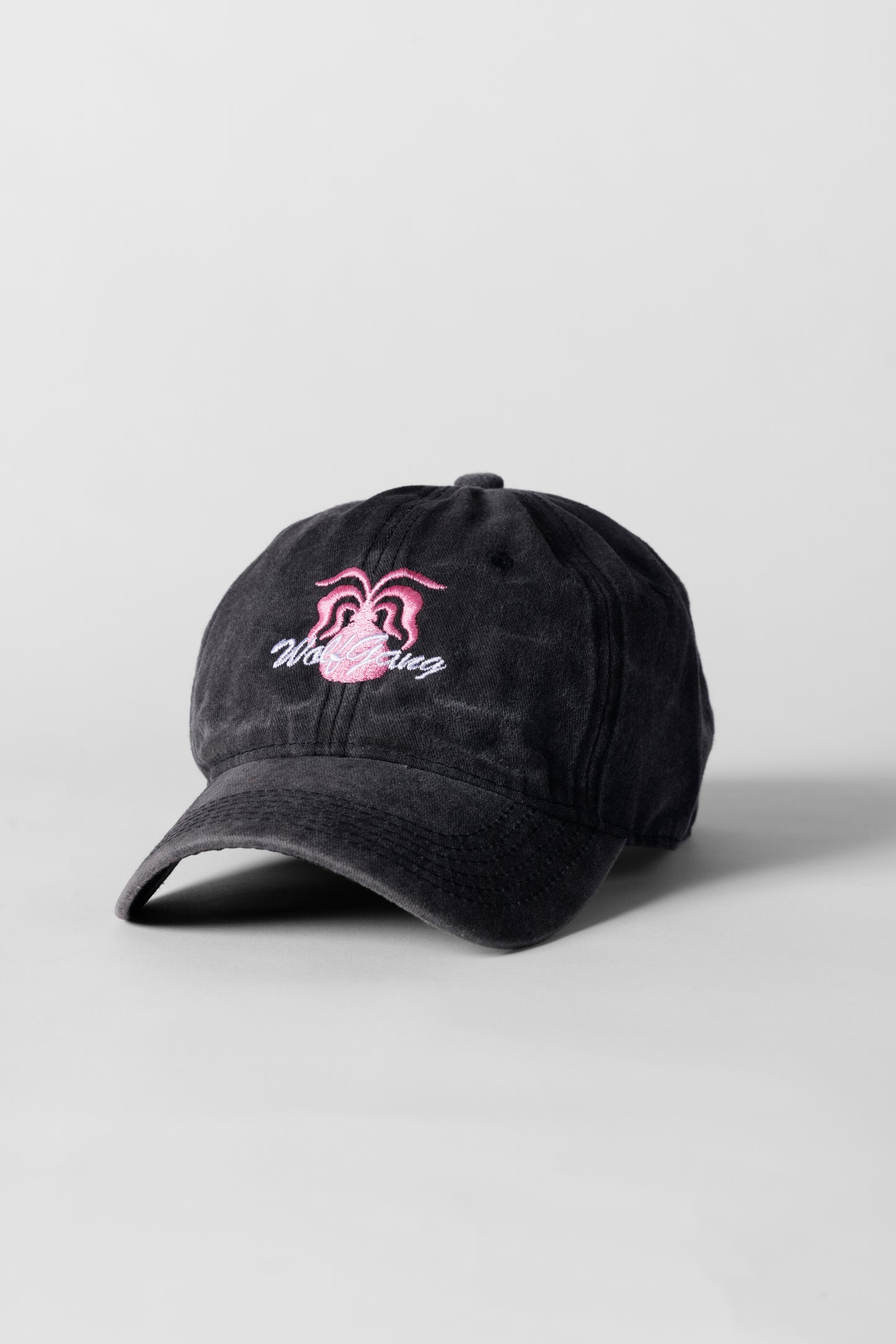 Botanica Logo Cap - Noir