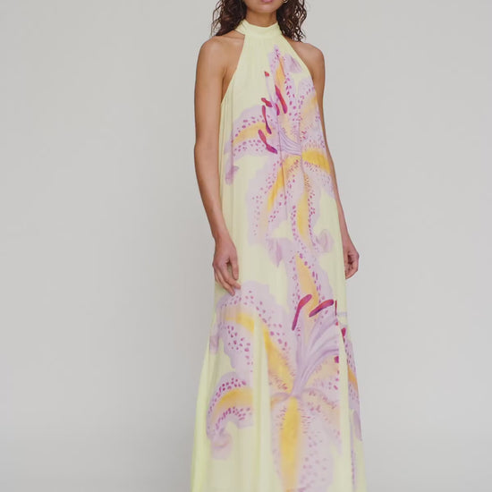 Celia Maxi Dress in Candy Hibiscus by The Wolf Gang – video