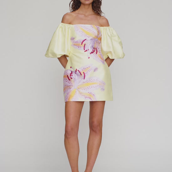Elda Mini Dress in Candy Hibiscus by The Wolf Gang – video